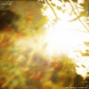 Sun Burned Memories